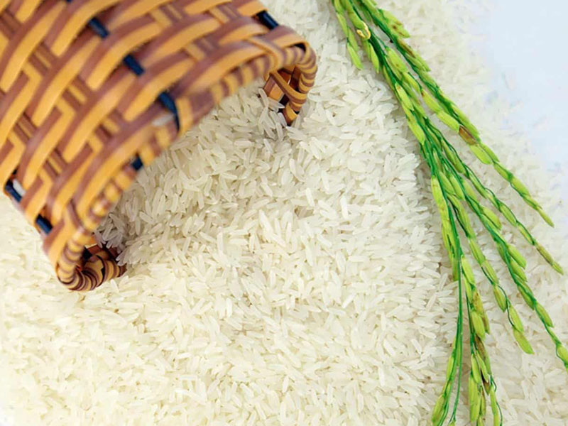 Gạo làm bún, bánh