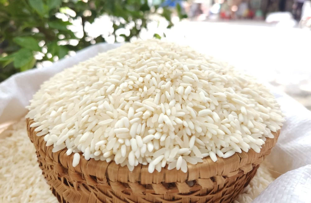 Cách chọn gạo nếp ngon, an toàn