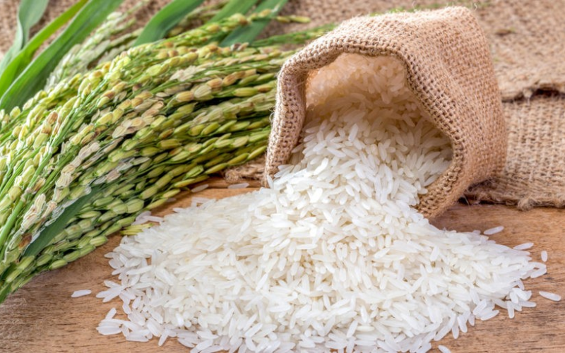 Các nguyên tắc mua đúng gạo sạch, gạo an toàn